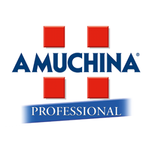 Amuchina Professional